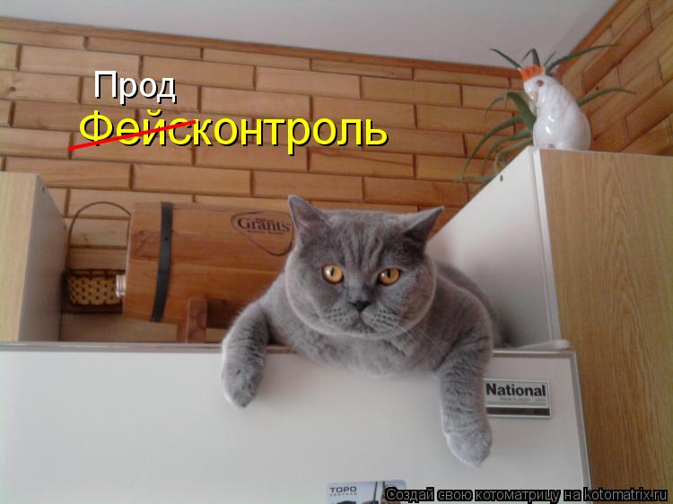 Фейсконтроль _____ Прод... Котоматрица: Фейсконтроль _____ Прод
