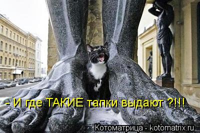 - И где ТАКИЕ тапки выдают ?!!!... Котоматрица: - И где ТАКИЕ тапки выдают ?!!!