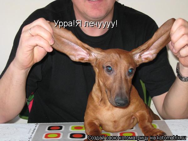 Урра!Я лечуууу!... Котоматрица: Урра!Я лечуууу!