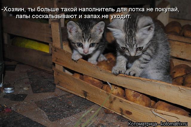лапы соскальзывают и запах не уходит. -Хозяин, ты больше такой наполнитель для лотка не покупай,... Котоматрица: лапы соскальзывают и запах не уходит. -Хозяин, ты больше такой наполнитель для лотка не покупай,