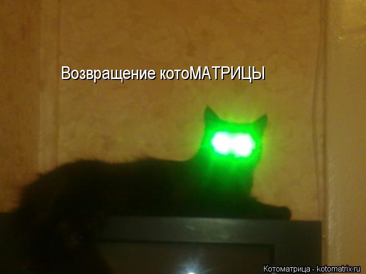 Возвращение котоМАТРИЦЫ... Котоматрица: Возвращение котоМАТРИЦЫ