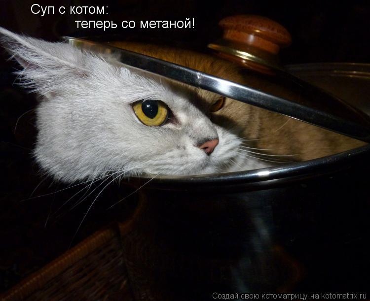 Суп с котом: теперь со метаной!... Котоматрица: Суп с котом: теперь со метаной!