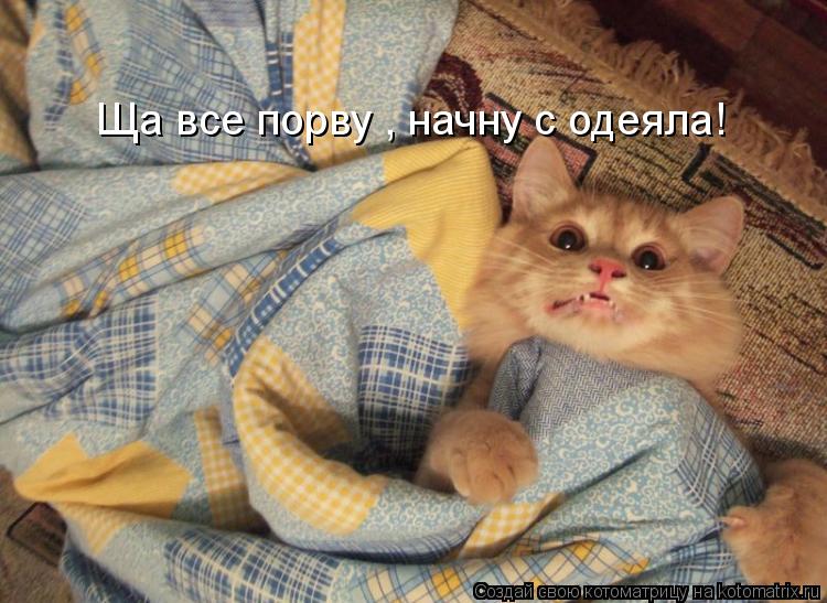 Ща все порву , начну с одеяла!... Котоматрица: Ща все порву , начну с одеяла!