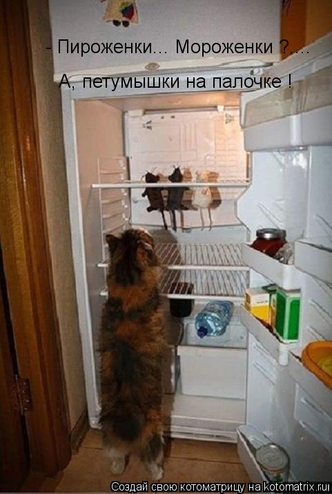 - Пироженки... Мороженки ?.... А, петумышки на палочке !... Котоматрица: - Пироженки... Мороженки ?.... А, петумышки на палочке !