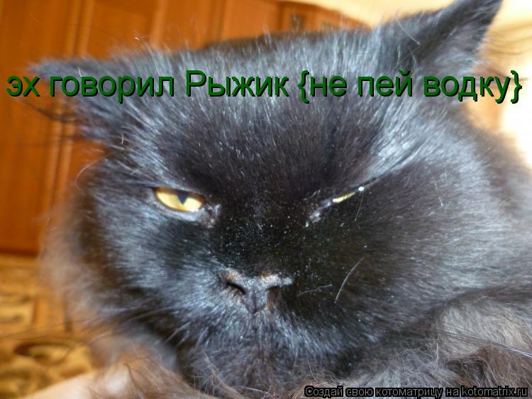 Котоматрица: эх говорил Рыжик {не пей водку}