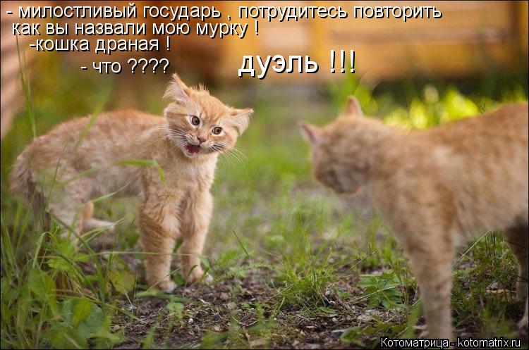- милостливый государь , потрудитесь повторить как вы назвали мою мурку ! -кошка драная ! - что ???? ... Котоматрица: - милостливый государь , потрудитесь повторить как вы назвали мою мурку ! -кошка драная ! - что ???? дуэль !!!
