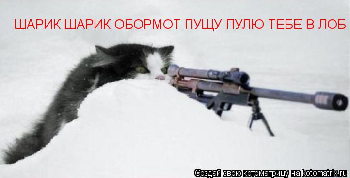 ШАРИК ШАРИК ОБОРМОТ ПУЩУ ПУЛЮ ТЕБЕ В ЛОБ... Котоматрица: ШАРИК ШАРИК ОБОРМОТ ПУЩУ ПУЛЮ ТЕБЕ В ЛОБ