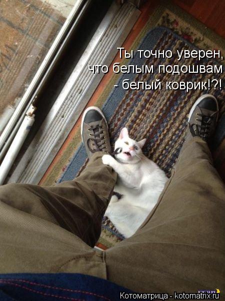 - белый коврик!?! что белым подошвам Ты точно уверен,... Котоматрица: - белый коврик!?! что белым подошвам Ты точно уверен,