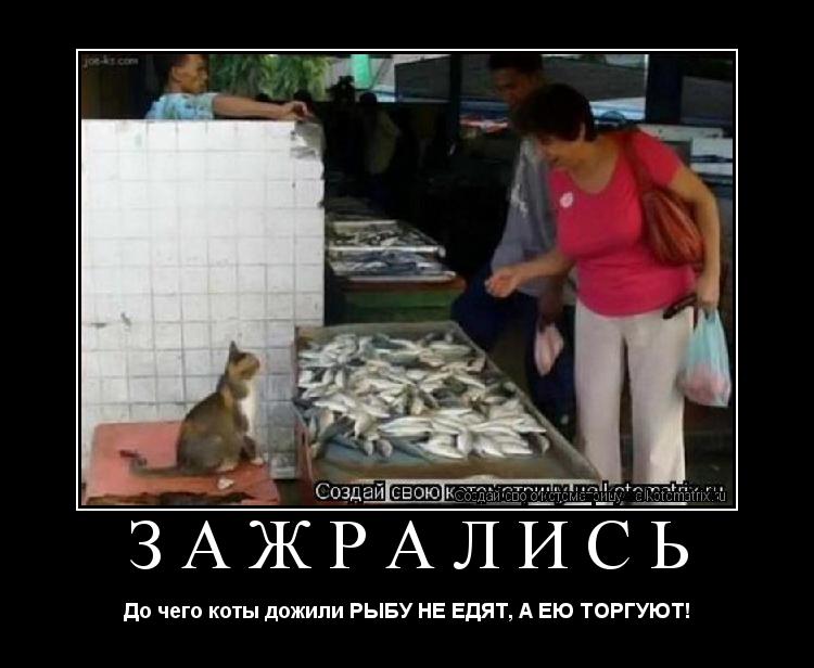 Котоматрица: ЗАЖРАЛИСЬ До чего коты дожили РЫБУ НЕ ЕДЯТ, А ЕЮ ТОРГУЮТ!