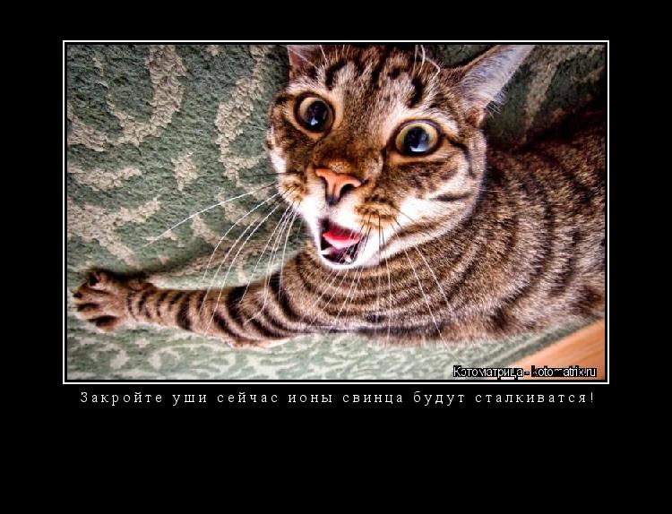 Закройте уши сейчас ионы свинца будут сталкиватся! ... Котоматрица: Закройте уши сейчас ионы свинца будут сталкиватся!