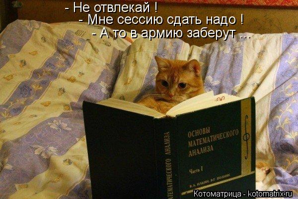 - Не отвлекай ! - Мне сессию сдать надо ! - А то в армию заберут ...... Котоматрица: - Не отвлекай ! - Мне сессию сдать надо ! - А то в армию заберут ...