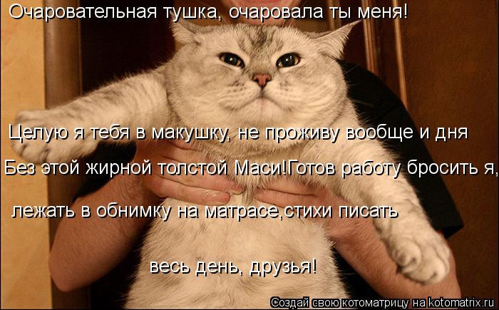 Очаровательная тушка, очаровала ты меня! Целую я тебя в макушку, не проживу вообще и дня Без этой жир... Котоматрица: Очаровательная тушка, очаровала ты меня! Целую я тебя в макушку, не проживу вообще и дня Без этой жирной толстой Маси!Готов работу бросить я,