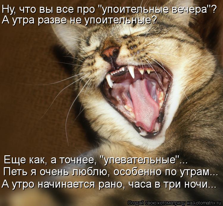 Ну, что вы все про "упоительные вечера"? А утра разве не упоительные? Еще как, а точнее, "упевательн... Котоматрица: Ну, что вы все про "упоительные вечера"? А утра разве не упоительные? Еще как, а точнее, "упевательные"... Петь я очень люблю, особенно по утрам..