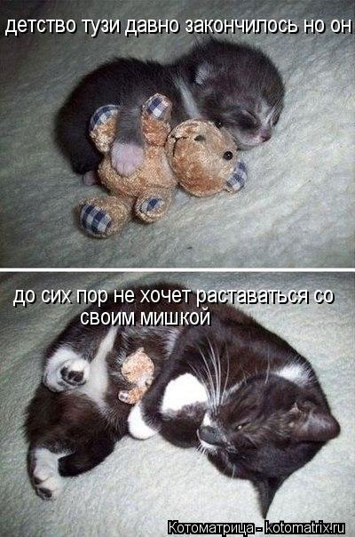 Котоматрица: детство тузи давно закончилось но он  до сих пор не хочет раставаться со  своим мишкой