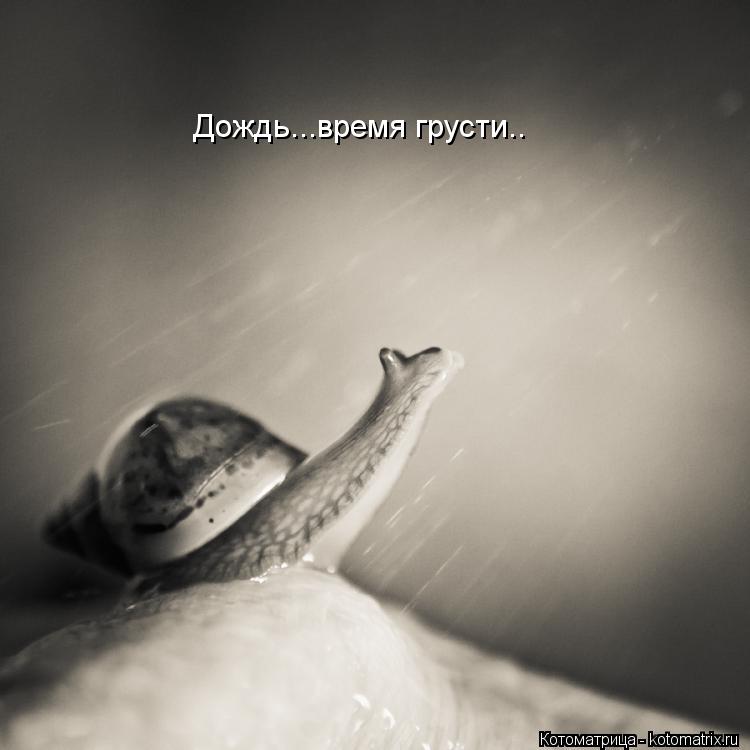 Котоматрица: Дождь...время грусти..