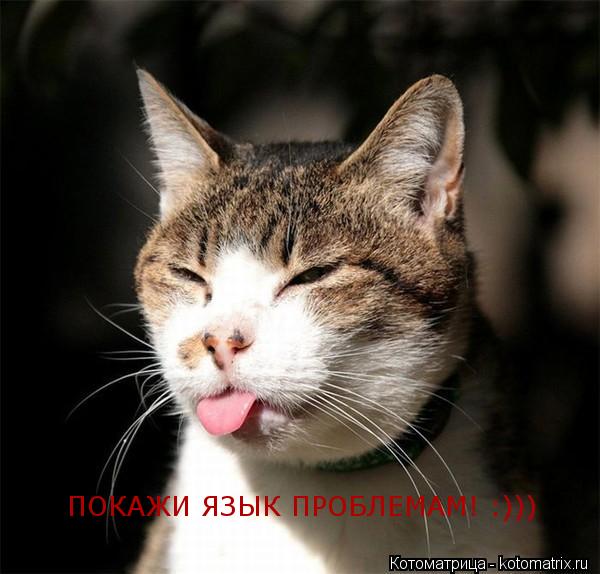 Котоматрица: ПОКАЖИ ЯЗЫК ПРОБЛЕМАМ! :)))
