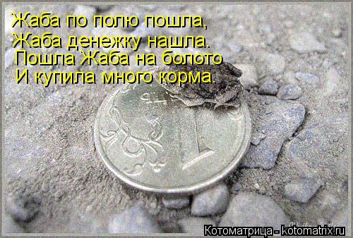 Котоматрица: Жаба по полю пошла,  Жаба денежку нашла. Пошла Жаба на болото И купила много корма.