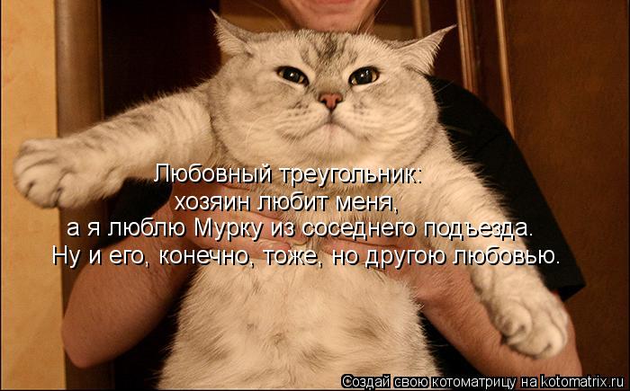 Котоматрица: Ну и его, конечно, тоже, но другою любовью. а я люблю Мурку из соседнего подъезда. хозяин любит меня, Любовный треугольник:
