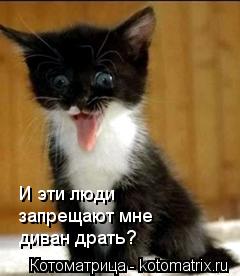 Котоматрица: И эти люди запрещают мне диван драть?