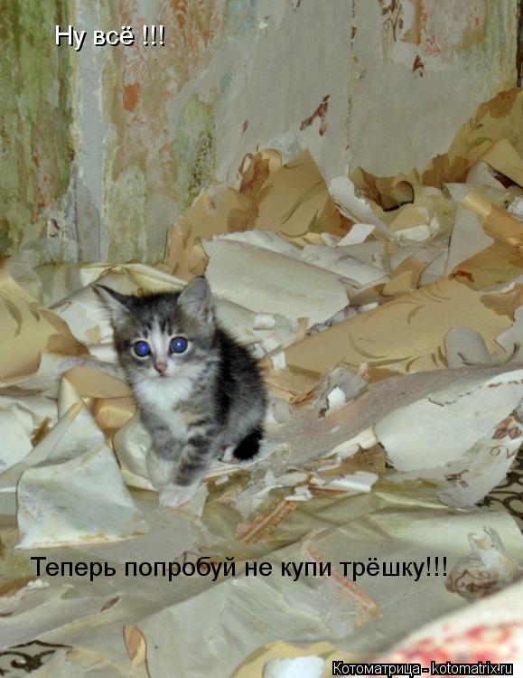 Котоматрица: Ну всё !!! Теперь попробуй не купи трёшку!!!