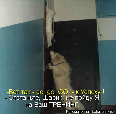 -Вот так - go, go, GO - к Успеху ! - Отстаньте, Шарик, не пойду Я на Ваш ТРЕНИНГ.... Котоматрица: -Вот так - go, go, GO - к Успеху ! - Отстаньте, Шарик, не пойду Я на Ваш ТРЕНИНГ.
