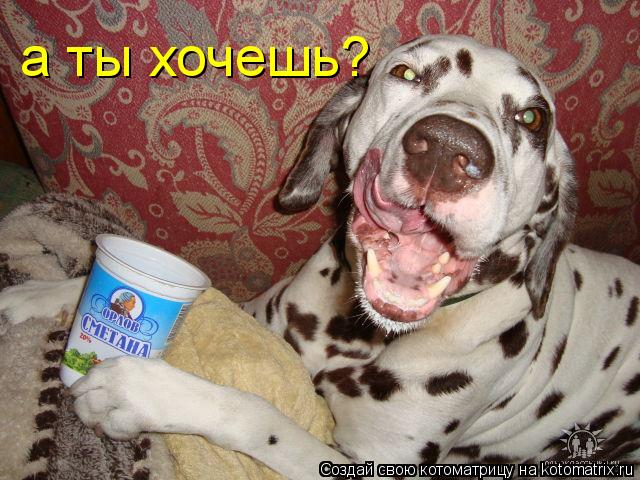 а ты хочешь?... Котоматрица: а ты хочешь?