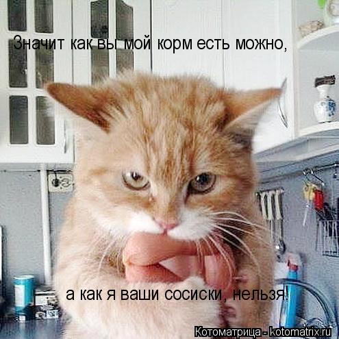 Котоматрица: Значит как вы мой корм есть можно, а как я ваши сосиски, нельзя!