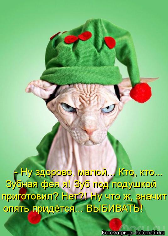 - Ну здорово, малой... Кто, кто... Зубная фея я! Зуб под подушкой приготовил? Нет?! Ну что ж, значит... Котоматрица: - Ну здорово, малой... Кто, кто... Зубная фея я! Зуб под подушкой приготовил? Нет?! Ну что ж, значит опять придётся... ВЫБИВАТЬ!