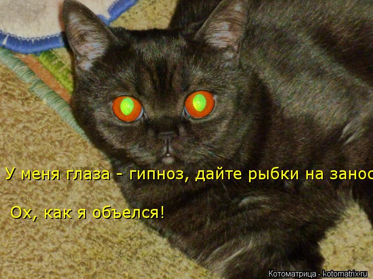 Котоматрица: Ох, как я объелся! У меня глаза - гипноз, дайте рыбки на занос!