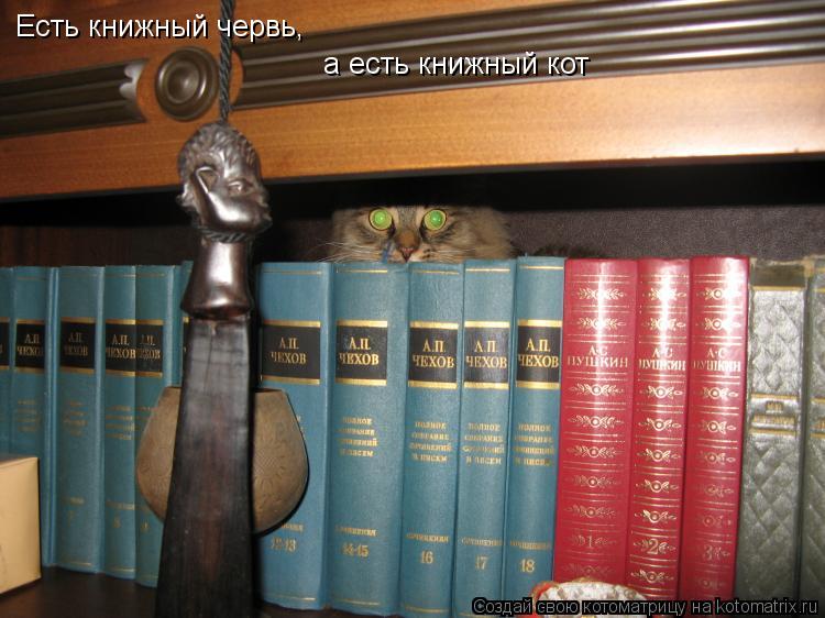 Котоматрица: Есть книжный червь, а есть книжный кот