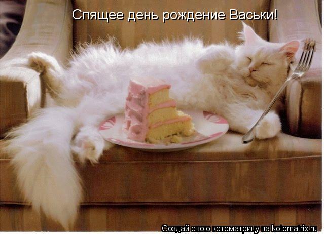Котоматрица: Спящее день рождение Васьки!