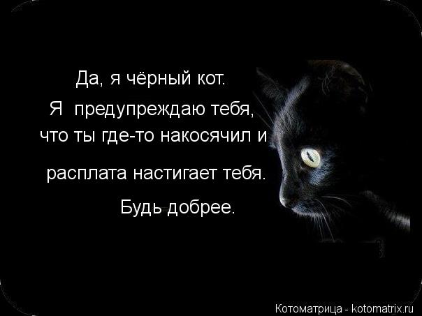 Будь добрее. расплата настигает тебя. Я предупреждаю тебя, что ты где-то накосячил и Да, я чёрный... Котоматрица: Будь добрее. расплата настигает тебя. Я предупреждаю тебя, что ты где-то накосячил и Да, я чёрный кот.