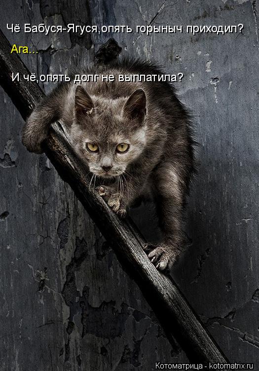 Чё Бабуся-Ягуся,опять горыныч приходил? Ага... И чё,опять долг не выплатила?... Котоматрица: Чё Бабуся-Ягуся,опять горыныч приходил? Ага... И чё,опять долг не выплатила?