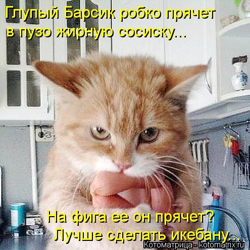 Глупый Барсик робко прячет в пузо жирную сосиску... На фига ее он прячет? Лучше сделать икебану...... Котоматрица: Глупый Барсик робко прячет в пузо жирную сосиску... На фига ее он прячет? Лучше сделать икебану...