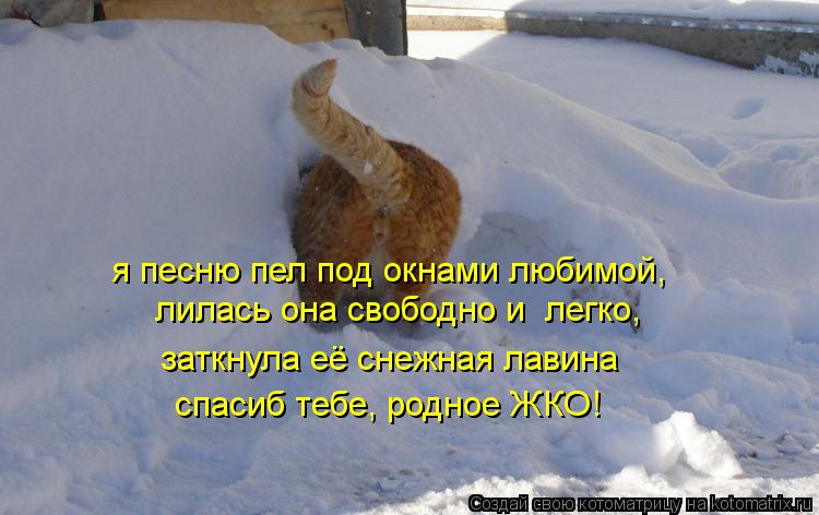 Котоматрица: я песню пел под окнами любимой, лилась она свободно и  легко, заткнула её снежная лавина спасиб тебе, родное ЖКО!