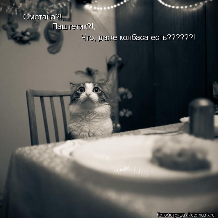 Сметана?!, Паштетик?!, Что, даже колбаса есть??????!... Котоматрица: Сметана?!, Паштетик?!, Что, даже колбаса есть??????!