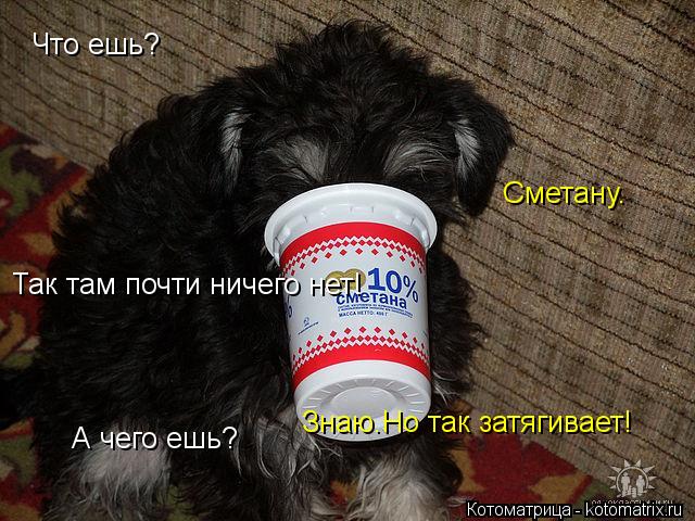 Что ешь? Сметану. Так там почти ничего нет! А чего ешь? Знаю.Но так затягивает!... Котоматрица: Что ешь? Сметану. Так там почти ничего нет! А чего ешь? Знаю.Но так затягивает!
