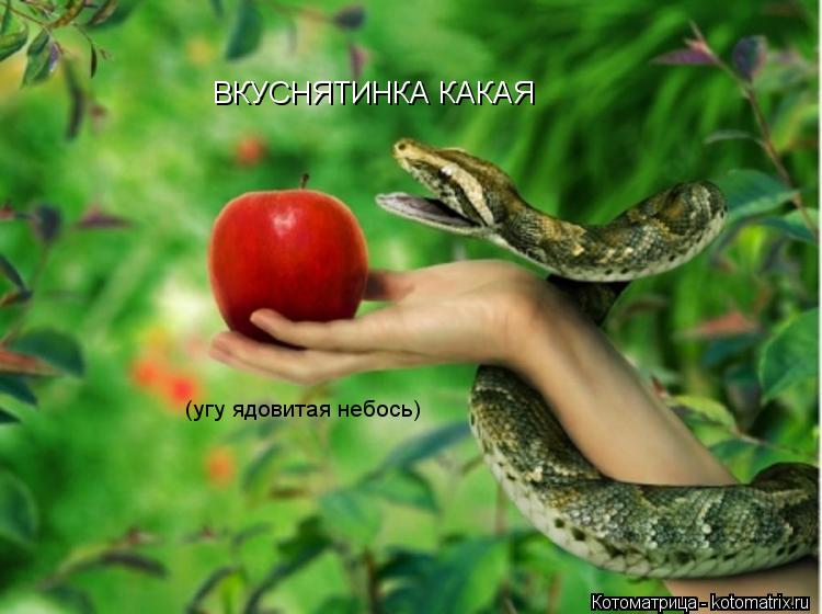 ВКУСНЯТИНКА КАКАЯ (угу ядовитая небось)... Котоматрица: ВКУСНЯТИНКА КАКАЯ (угу ядовитая небось)