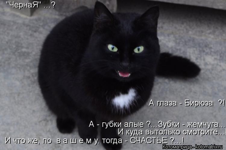 "ЧернаЯ" ...? А глаза - Бирюза ?! И куда вытолько смотрите...! А - губки алые ?...Зубки - жемчуга.... Котоматрица: "ЧернаЯ" ...? А глаза - Бирюза ?! И куда вытолько смотрите...! А - губки алые ?...Зубки - жемчуга... И что же, по в а ш е м у, тогда - СЧАСТЬЕ ?...!