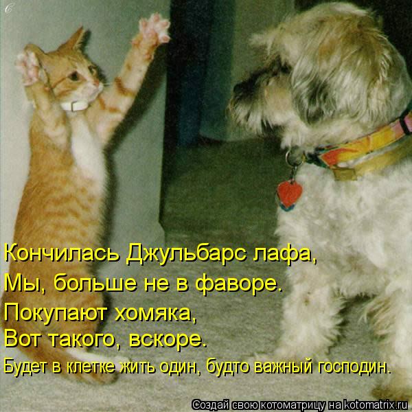Кончилась Джульбарс лафа, Мы, больше не в фаворе. Покупают хомяка, Вот такого, вскоре. Будет в клетке... Котоматрица: Кончилась Джульбарс лафа, Мы, больше не в фаворе. Покупают хомяка, Вот такого, вскоре. Будет в клетке жить один, будто важный господин.