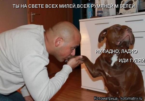 Котоматрица: ТЫ НА СВЕТЕ ВСЕХ МИЛЕЙ ТЫ НА СВЕТЕ ВСЕХ МИЛЕЙ,ВСЕХ РУМЯНЕЙ М БЕЛЕЙ НУ ЛАДНО, ЛАДНО ИДИ ГУЛЯЙ