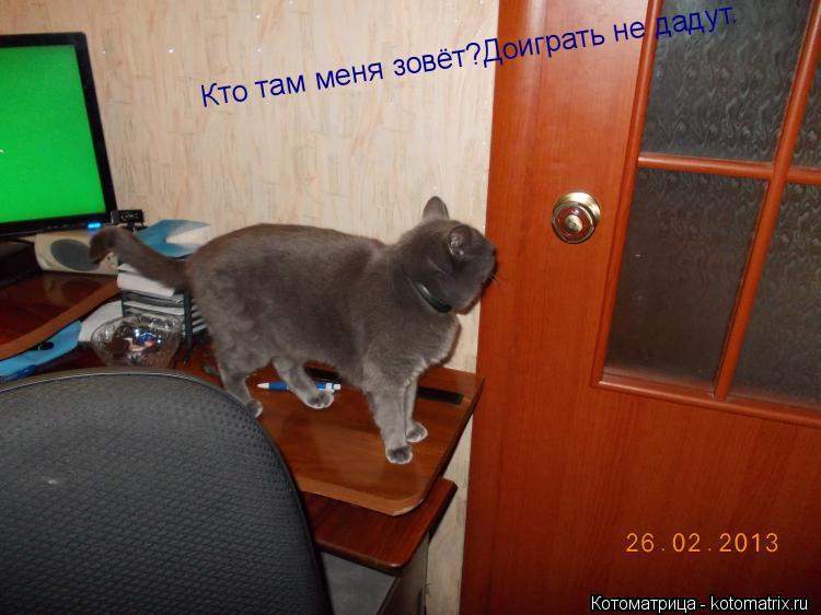 Кто там меня зовёт?Доиграть не дадут.... Котоматрица: Кто там меня зовёт?Доиграть не дадут.