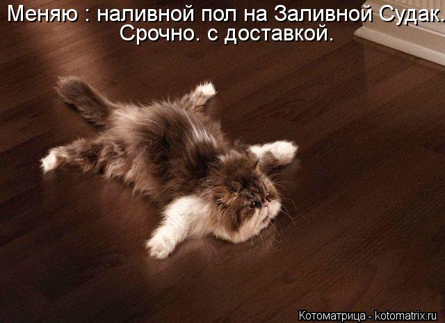 Меняю : наливной пол на Заливной Судак. Срочно. с доставкой.... Котоматрица: Меняю : наливной пол на Заливной Судак. Срочно. с доставкой.