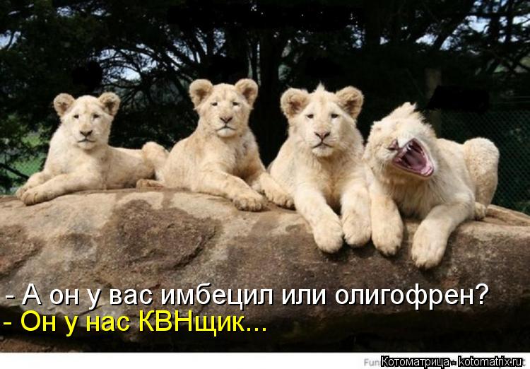 - А он у вас имбецил или олигофрен? - Он у нас КВНщик...... Котоматрица: - А он у вас имбецил или олигофрен? - Он у нас КВНщик...