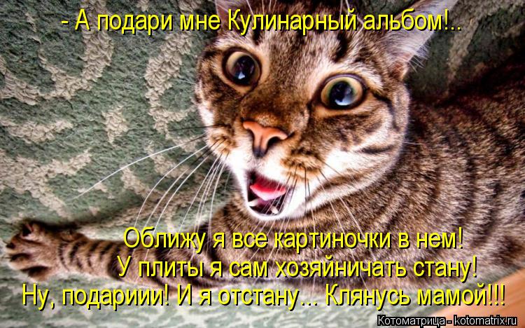 Котоматрица: - А подари мне Кулинарный альбом!.. Оближу я все картиночки в нем!  У плиты я сам хозяйничать стану! Ну, подариии! И я отстану... Клянусь мамой!!!