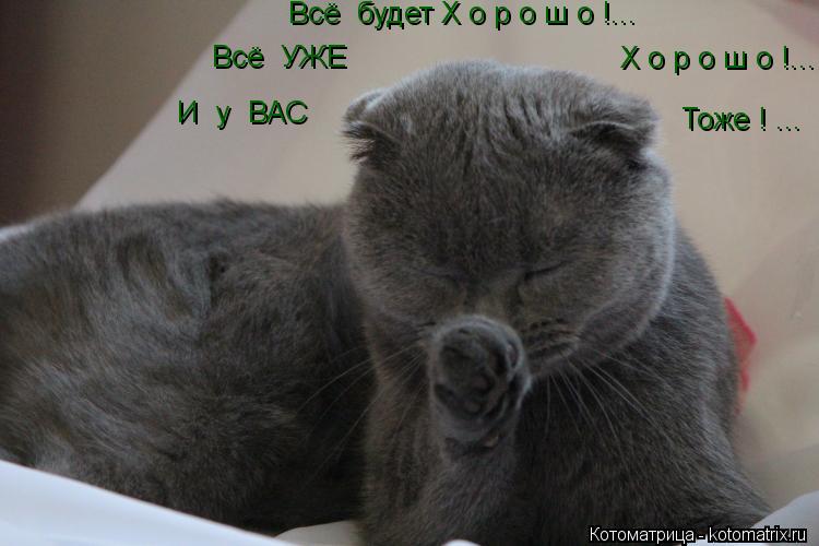 Всё будет Х о р о ш о !... Всё УЖЕ Х о р о ш о !... И у ВАС Тоже ! ...... Котоматрица: Всё будет Х о р о ш о !... Всё УЖЕ Х о р о ш о !... И у ВАС Тоже ! ...