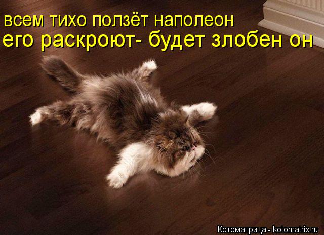 всем тихо ползёт наполеон его раскроют- будет злобен он... Котоматрица: всем тихо ползёт наполеон его раскроют- будет злобен он