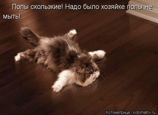 Полы скользкие! Надо было хозяйке полы не мыть!... Котоматрица: Полы скользкие! Надо было хозяйке полы не мыть!