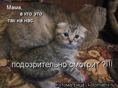 Котоматрица: Мама,  а кто это    так на нас   подозрительно смотрит ?!!!