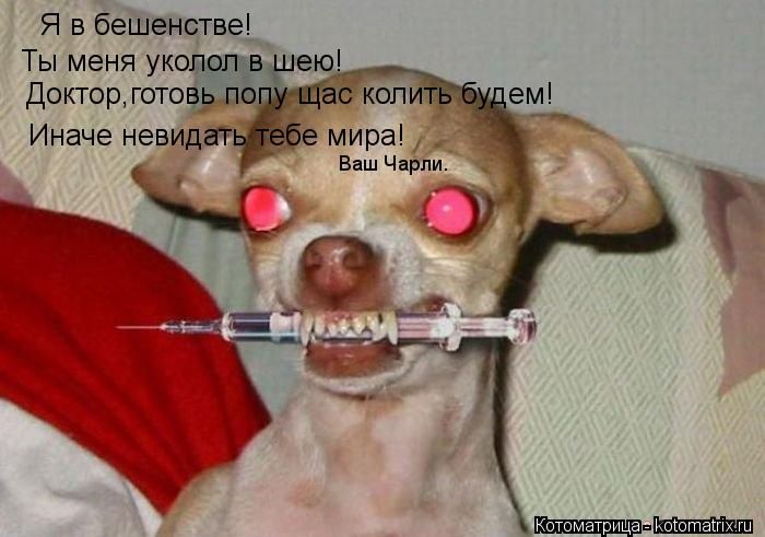 Котоматрица: Я в бешенстве! Ты меня уколол в шею!  Доктор,готовь попу щас колить будем! Иначе невидать тебе мира! Ваш Чарли.